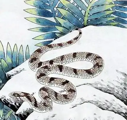 这3大属相,2019年比今年老一岁,但财运更旺一倍,赚钱不少属狗
