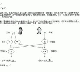 在正常情况下.无论生男还是生女.母亲一定会遗传x染色体给其子女..题目和参考答案青夏教育精英家教网
