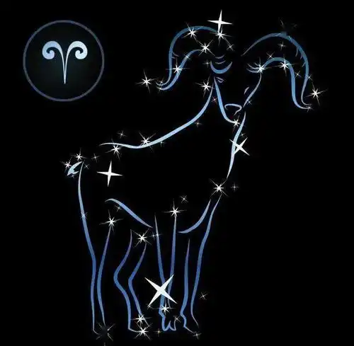 生权特刊生日祝福星座篇
