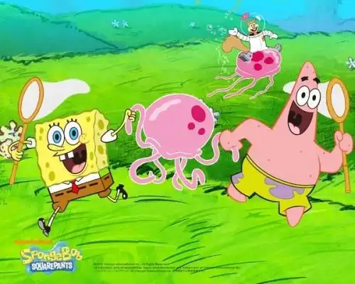 我们一起去抓水母吧什么意思qq签名
