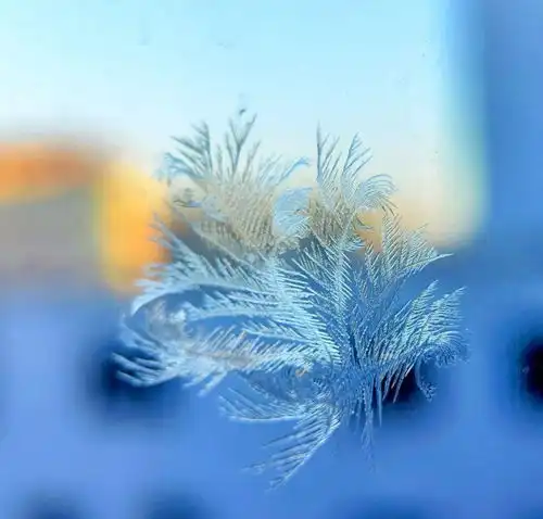 夜读释怀深度好文
