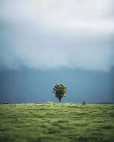 心结越少,你的能量场就越强大
