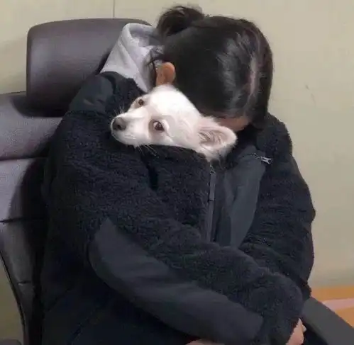 整理了一些适合告别的温柔文案
