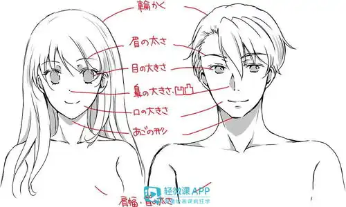如何绘制男生脸部男生脸部比例的步骤和技巧
