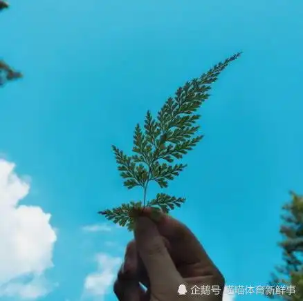 渣男跟你逢场作戏的3句话,随便撩撩,千万别走心
