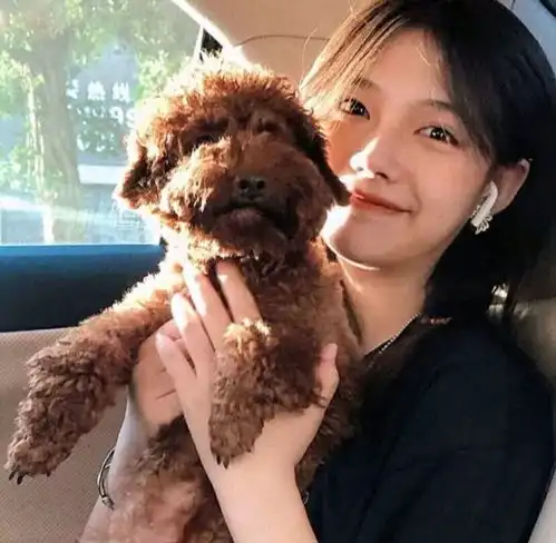 亲爱的周游式文案.
