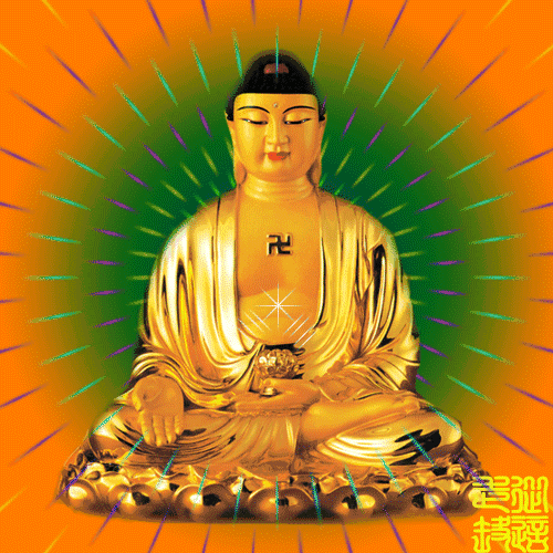 奇观动物拜佛千年一见佛法无边,感天动地
