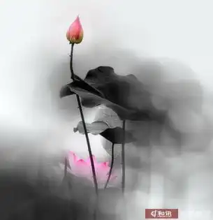 阿弥陀佛晓风残月能知足者,天不能贫
