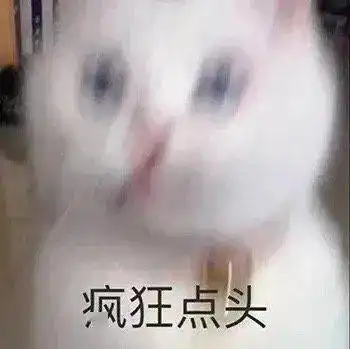当代情侣热恋期能有多甜蜜救命啊我又嗑到了
