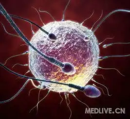 坐到男生的精子会怀孕吗
