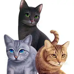 猫武士迷又一张猫武士图窗台上的薄荷草的美拍
