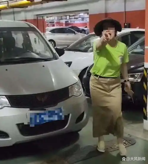 女子因狗窜入车底受伤持砖砸车砸人边砸边喊还我狗命
