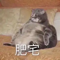 程潇陈乔恩柳岩竟然如此放得开这档魔鬼综艺大概是有毒吧
