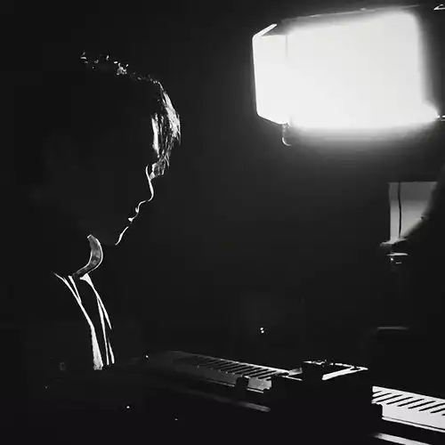 情感文案,树叶要走是风的追求,还是树的不挽留
