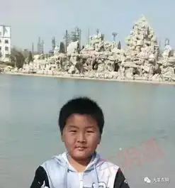 扩散东明12岁男孩出走,全城急寻
