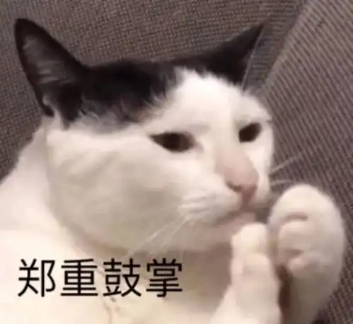 王珞丹新短片寂静世界温情又治愈这是不是你羡慕的姐妹情
