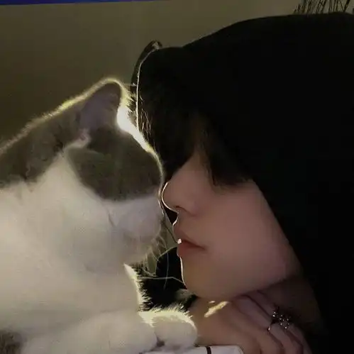 头像只要我没有道德你就绑架不了我
