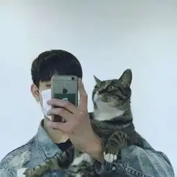 头像男抱猫男生