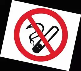 养生丨绿茶领衔养生榜,给男人好脸色
