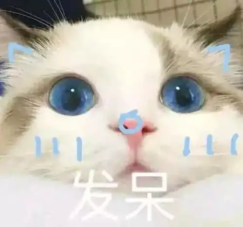 口红种草这10支高颜值热门口红适合各种不同场合,且实力种草性价比超高

