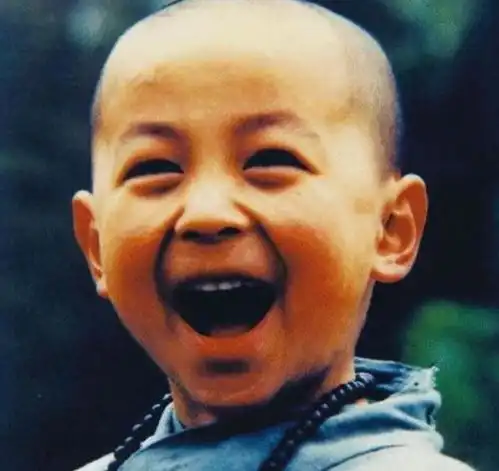 为什么释小龙这么多年不拍戏,也不怕没钱花网友你怕是不知道他爸是谁

