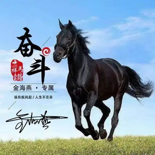 万马奔腾配上百家姓微信头像,气势如虹,朋友圈最靓的崽就是你
