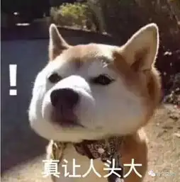 普宁两男子持c1证开摩托车,被拘留5日罚款一千多元记超12分