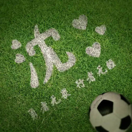 创意姓氏头像,足球爱好者微信头像绿色草坪加足球
