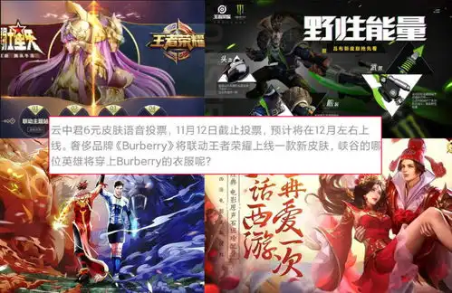 王者荣耀新联动皮肤官宣,联动最多的男英雄是他,还收获一名女cp
