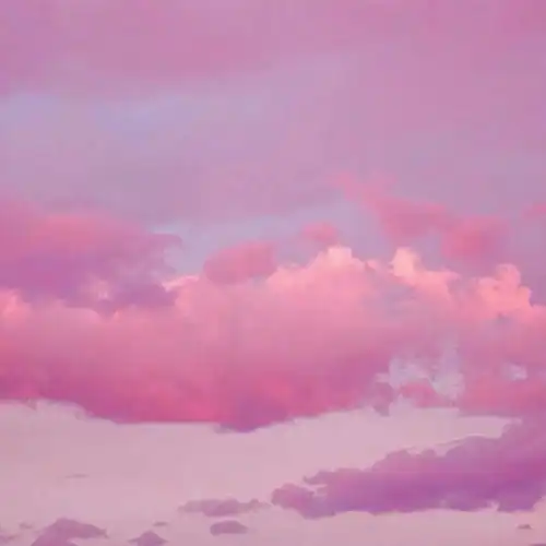 一些野餐文案天气好好可以去野餐呀
