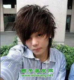 男生厚重非主流发型展示
