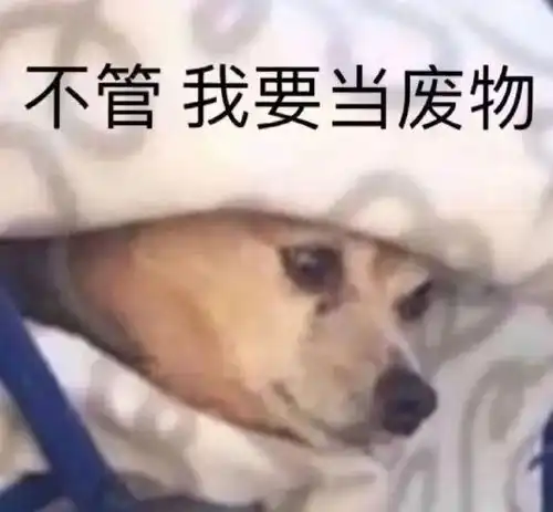 我对自己疑惑了,希望改进
