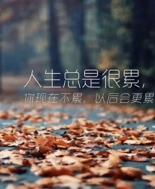 与优秀同行
