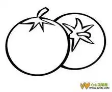 西红柿怎么画好看
