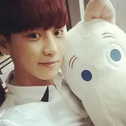 exoplanet.伯贤灿烈鹿晗世勋美图集
