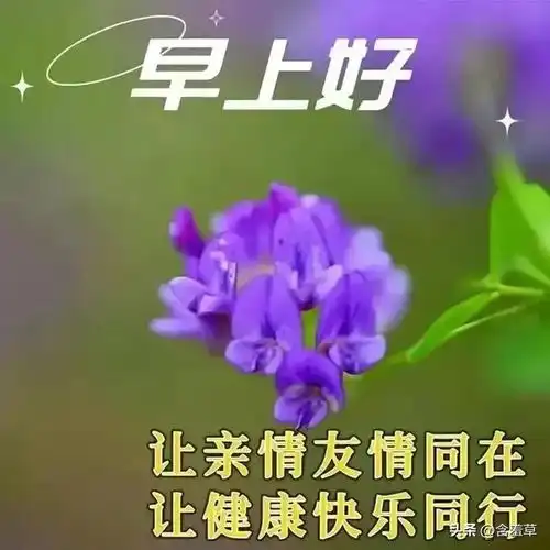 早安问候美图盼平安健康,祈好运伴随8月11日
