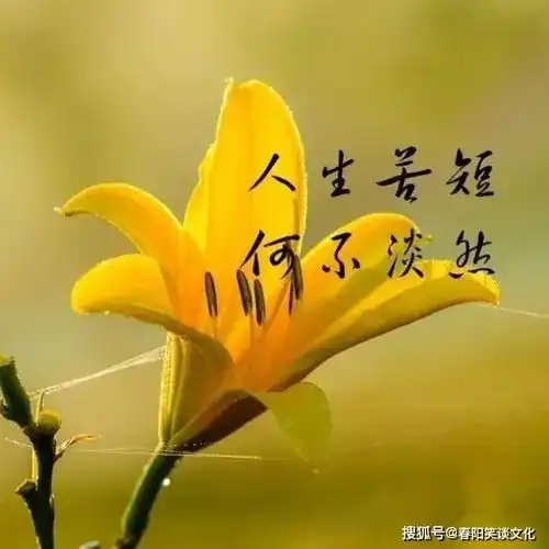 激励自己的正能量句子,每天一读,改变一生
