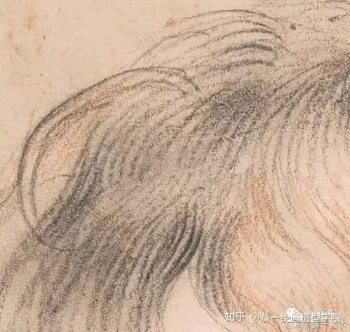 关于绘画造型问题的回复
