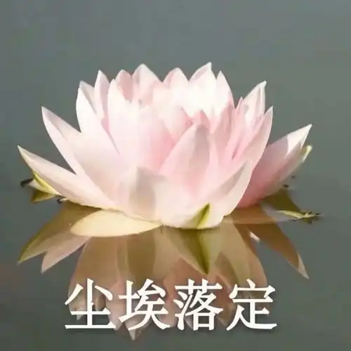 十飒炒cp娱乐圈向后续

