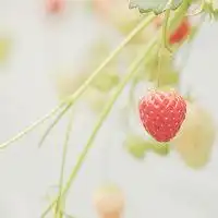 头像不同风格风景微信头像图片大全
