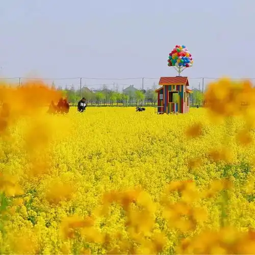 太出片了南通这些宝藏打卡地
