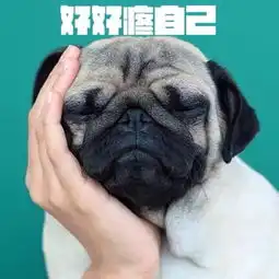 怪头像...
