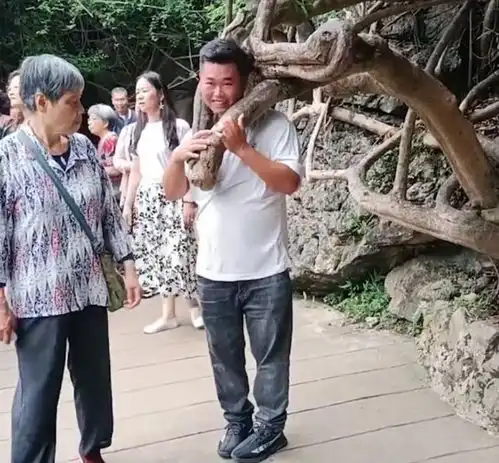 男子将头伸进树杈拍照被卡成为了景区中最亮的那个崽
