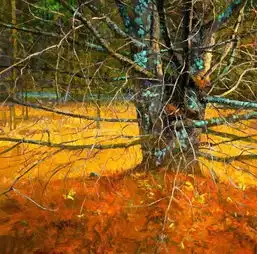 油画风景和水彩风景
