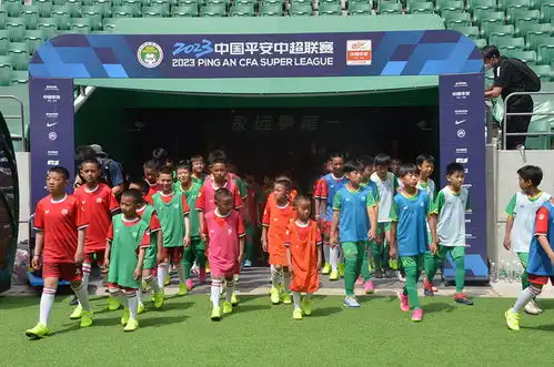 相约绿茵场逐梦向未来藏族青少年在首都绿茵场欢度六一儿童节
