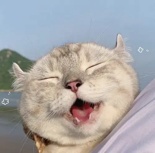 我的收藏
