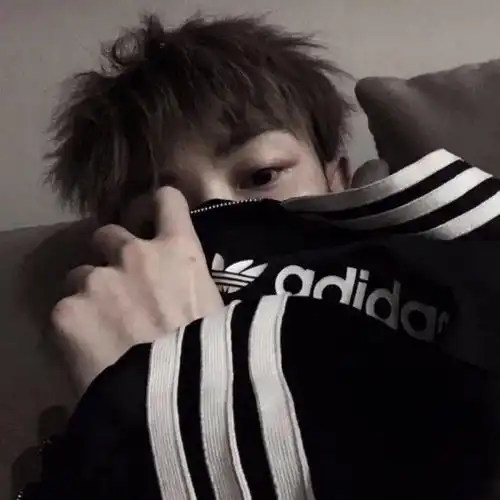 敲nice的微信头像鸭
