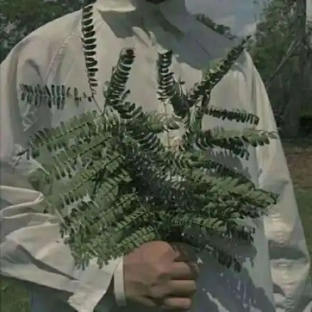 森系唯美男头像半身部位,手捧花的男生
