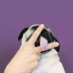 忽明忽暗的脾气可苦了我可爱的人微信头像我要个性网
