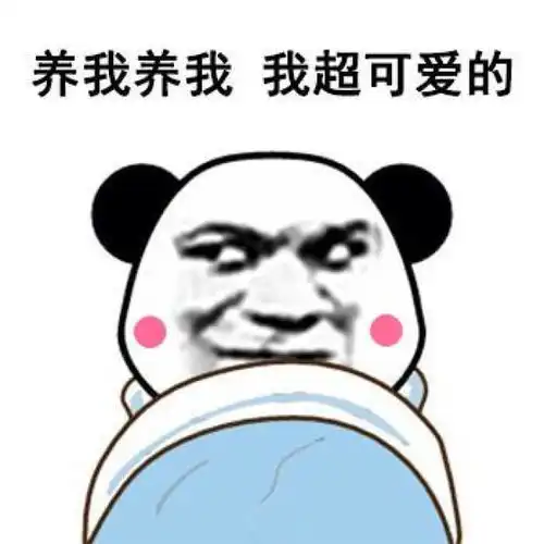 搞笑幽默亲爱的别再养青蛙了,养我可爱的熊猫头吧
